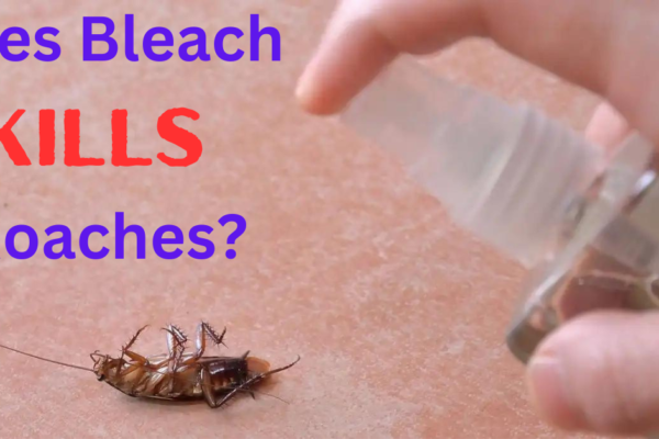 Does Bleach Kill Roaches
