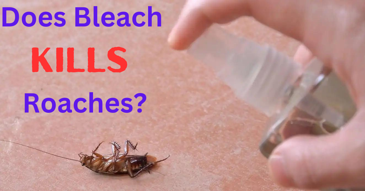 Does Bleach Kill Roaches